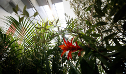 1+1. L'arte relazionale, foto © Musacchio & Pasqualini / MUSA, courtesy Fondazione MAXXI