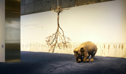 Creature, Creatori. San Francesco e l'arte contemporanea, foto © Luis Do Rosario, courtesy Fondazione MAXXI
