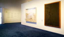 Creature, Creatori. San Francesco e l'arte contemporanea, foto © Luis Do Rosario, courtesy Fondazione MAXXI