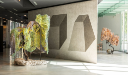 ENTRATE. Nacho Carbonell. Memory, in practice | foto © Guido Caltabiano, courtesy Fondazione MAXXI