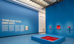 NATURE: Tatiana Bilbao Estudio. Campo aperto, foto © Vincenzo Labellarte, courtesy Fondazione MAXXI