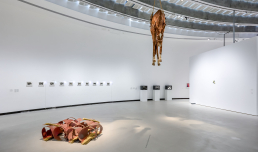 Tragicomica. Prospettive sull'arte italiana dal secondo Novecento a oggi, exhibition view, foto © Simon d'Exéa, courtesy Fondazione MAXXI