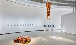 Tragicomica. Prospettive sull'arte italiana dal secondo Novecento a oggi, exhibition view, foto © Simon d'Exéa, courtesy Fondazione MAXXI