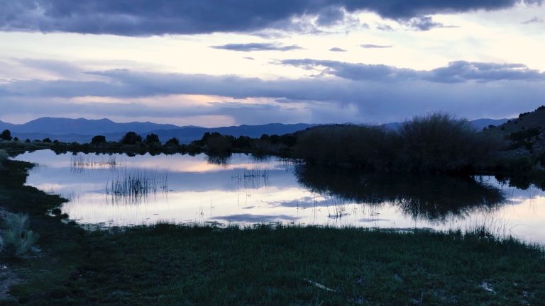 Paesaggio naturale al tramonto con uno specchio d’acqua calmo che riflette le nuvole e la luce del cielo. La riva erbosa si estende in primo piano, mentre cespugli e alberi delimitano l’acqua. Sullo sfondo si intravedono catene montuose dai profili scuri, sotto un cielo parzialmente coperto da nuvole dense.