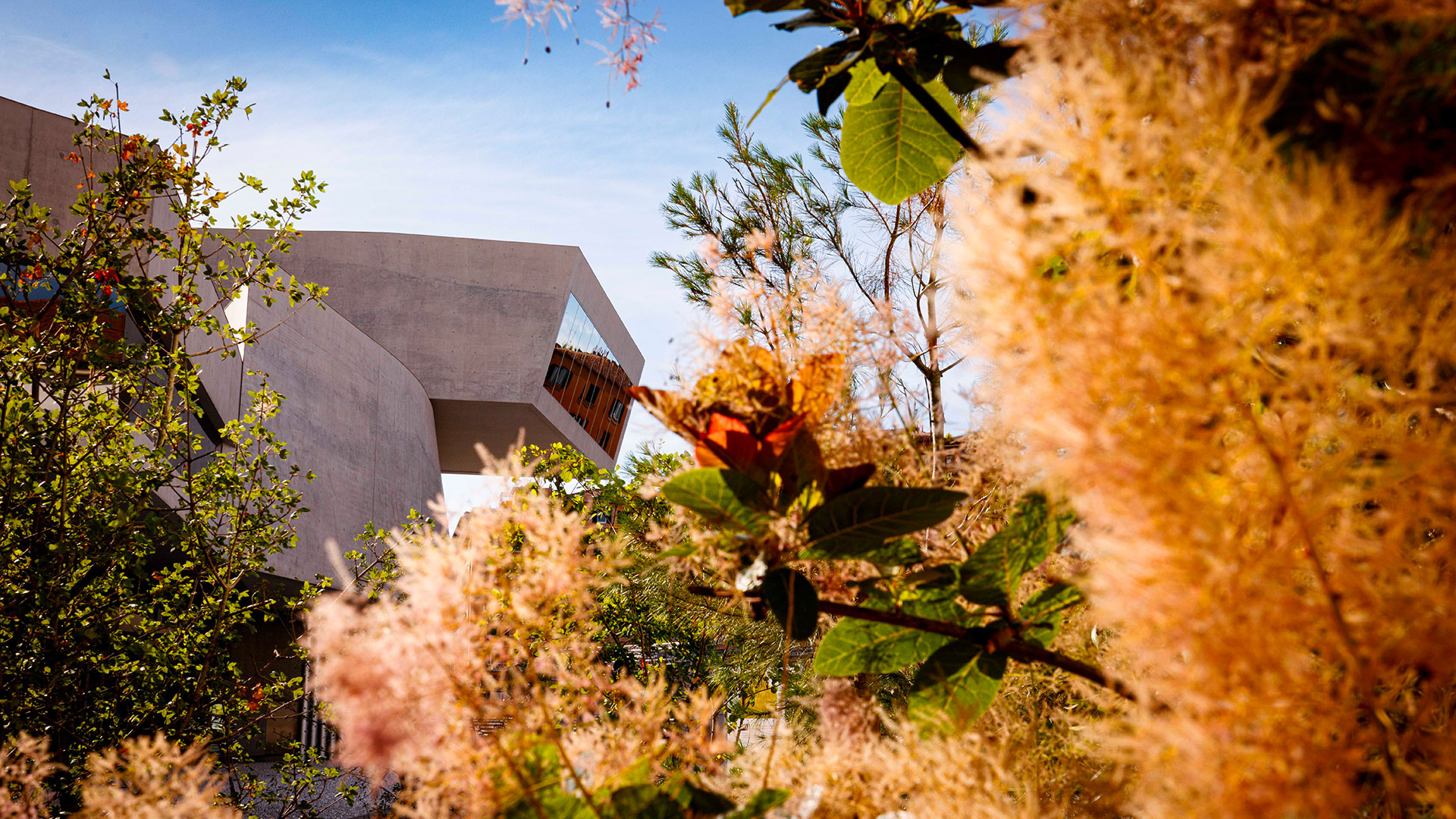 Hands in the Earth: Seeds, Leaves and Wonder at MAXXI National Museum of 21st Century Arts