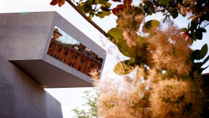 Vetrata dell’edificio del MAXXI che riflette un palazzo color ruggine, con la struttura in cemento illuminata dal sole che crea un bagliore sulla sinistra. In primo piano, rami con infiorescenze piumose bianco-rosate e foglie rosse e verdi, sfocate. Fotografia a colori.