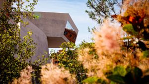 Vista dal basso della struttura in cemento del MAXXI, inquadrata tra foglie verdi e un ramo con infiorescenze rosa sfocate in primo piano. Sullo sfondo, un edificio color ruggine e cielo azzurro. Fotografia a colori.