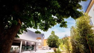 Scorcio dell’edificio del MAXXI ripreso da sotto la chioma di un grande albero, con foglie verdi in controluce in primo piano. Sullo fondo, l’ingresso del museo con vetrate, colonne e piazzale, oltre ad alberi più piccoli ed edifici color ruggine. Fotografia a colori, giornata soleggiata.