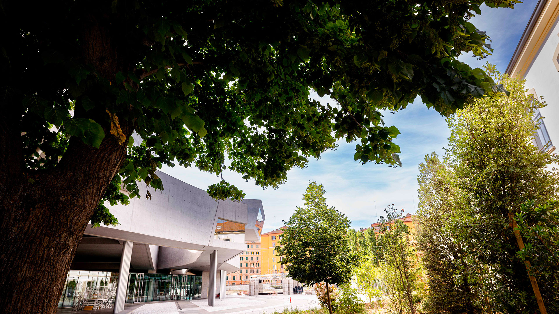Scorcio dell’edificio del MAXXI ripreso da sotto la chioma di un grande albero, con foglie verdi in controluce in primo piano. Sullo fondo, l’ingresso del museo con vetrate, colonne e piazzale, oltre ad alberi più piccoli ed edifici color ruggine. Fotografia a colori, giornata soleggiata.