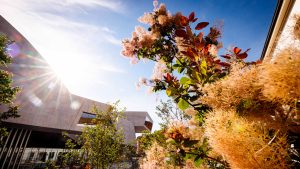 Dettaglio della struttura del MAXXI incorniciato da rami con foglie verdi a sinistra e infiorescenze piumose rosa-rossastre a destra, in primo piano. Sullo sfondo, cielo azzurro e un edificio color ruggine di cui si intravede un angolo. Fotografia a colori.