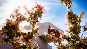 Dettaglio della struttura in cemento a sbalzo del MAXXI con la vetrata che riflette edifici circostanti, fotografata tra foglie verdi in primo piano. Sullo sfondo, edifici color ruggine di Roma e cielo azzurro con alberi. Fotografia a colori.